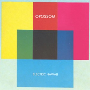 Opossom_Electric_Hawaii_300x300