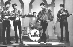 Hollies