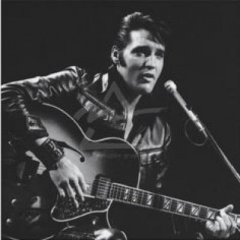 elvis2