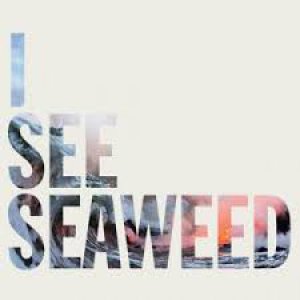 seaweed