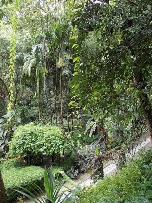 tropical_spice_garden