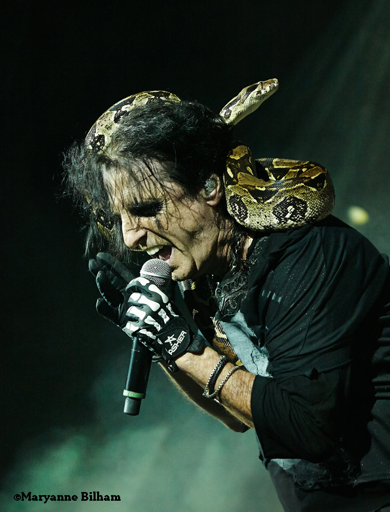 Alice_Cooper