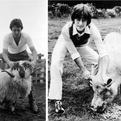 johnlennon_pig_news3