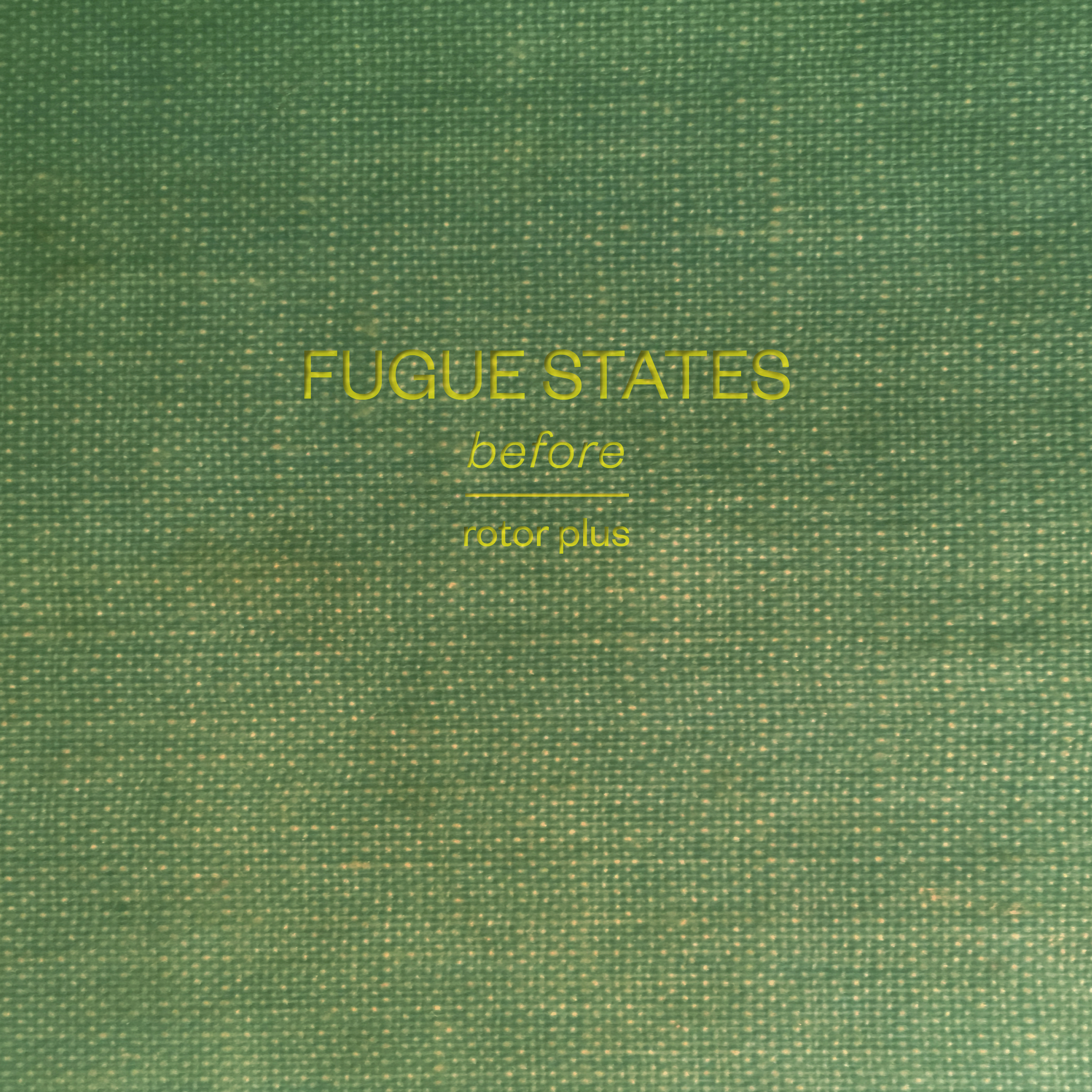 rotor_plus_FUGUE_STATES_BEFORE_3k