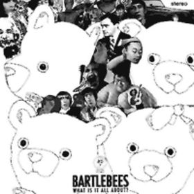 album_Bartlebees_What_Is_It_All_About