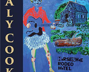 Aly Cook: Horseshoe Rodeo Hotel (alycook.com)