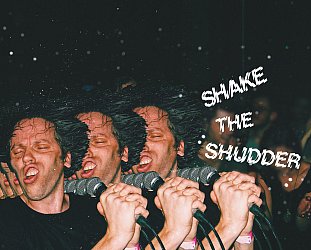 !!!: Shake the Shudder (Warp)