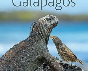 A LIFETIME IN GALAPAGOS by TUI DE ROY