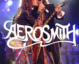 AEROSMITH, THE ULTIMATE HISTORY OF THE BOSTON BAD BOYS by RICHARD BIENSTOCK