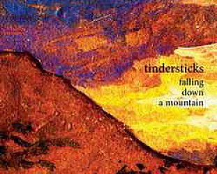 The Tindersticks: Falling Down A Mountain (4AD)