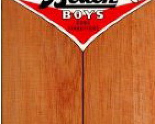 THE BEACH BOYS: GOOD VIBRATIONS IN A BOX (2010): The hits, the misses and the myths