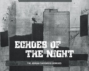 Pitch Black: Echoes of the Night; The Adrian Sherwood Remixes (digital outlets)