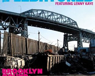 The Fleshtones (featuring Lenny Kaye): Brooklyn Sound Solution (YepRoc)