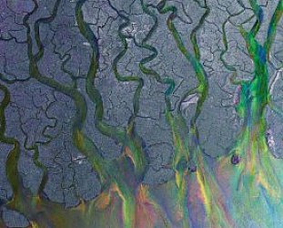 Alt-J: An Awesome Wave (Infectious)