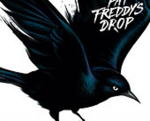 Fat Freddy's Drop: Blackbird (The Drop)