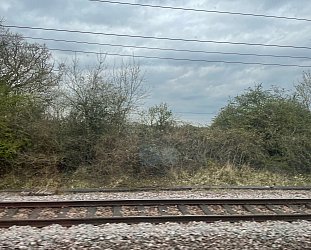 TRAVELS IN THE TIME OF COVID #11 (2022): Sights passed at speed