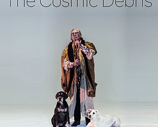The Cosmic Debris: The Cosmic Debris (Carnival Din/digital outlets/limited vinyl)