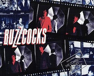 THE BUZZCOCKS (2013): A Different Kind of Punk