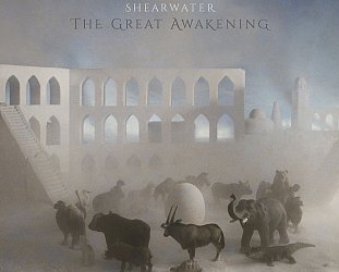 Shearwater: The Great Awakening (Polyborus/bandcamp)