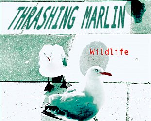 Thrashing Marlin: Wildlife (Braille/bandcamp)