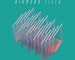 RECOMMENDED RECORD: Diamond Field: Diamond Field (Sofa King/digital outlets)