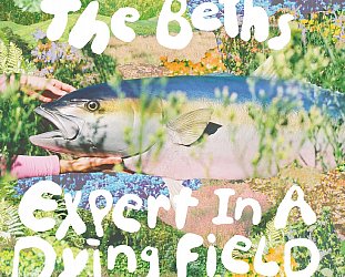 The Beths: Expert in a Dying Field (digital outlets)