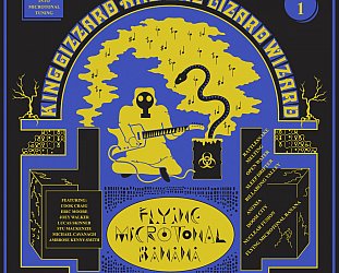 King Gizzard and the Lizard Wizard: Flying Microtonal Banana (Heavenly)