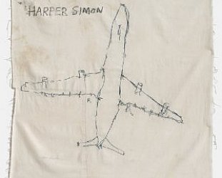 Harper Simon: Harper Simon (Liberator)