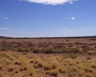 The Australian Outback: Dry land, dry characters, dry throat