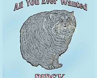 Pipsy: All You Ever Wanted (digital outlets)