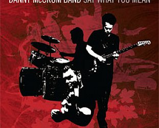 Danny McCrum Band: Say What You Mean (Paper Plane)