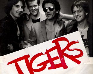 The Tigers: Red Dress (1980)