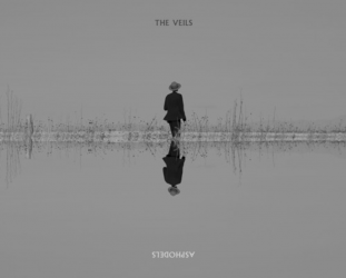 RECOMMENDED RECORD: The Veils: Asphodels (digital outlets)