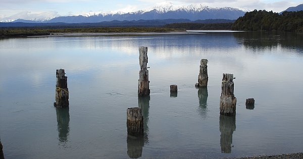 Dyan's very easy Creamy Mint Potato Salad | Elsewhere by Graham Reid