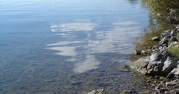 Milly's Peach & Blackberry (or any berry) Cake | Elsewhere by Graham Reid