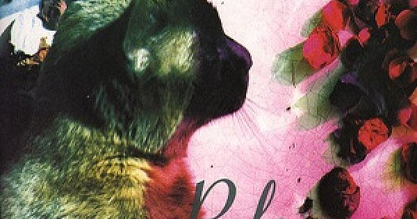 RECOMMENDED REISSUE: Pale Saints: The Comforts of Madness (4AD