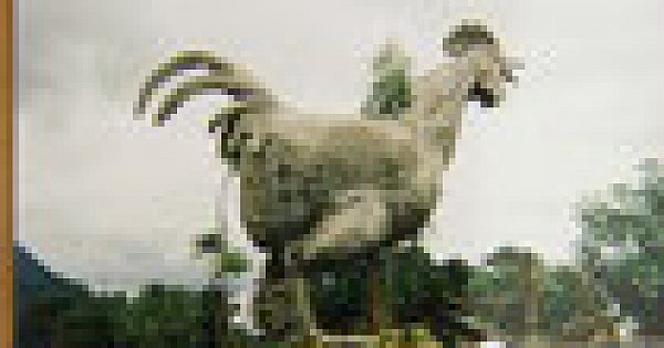 Greg's wife's Kotosoupa Avgolemono (chicken soup with egg and lemon sauce) | Elsewhere by Graham Rei