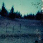 Sigur Ros; Hvarf/Heim (EMI) BEST OF ELSEWHERE 2007