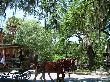 Savannah, Georgia: Midday in the Gardens