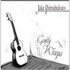 Jake Shimabukuro: Gently Weeps (Hitchhike)