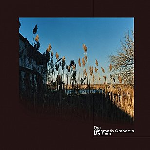RECOMMENDED RECORD: The Cinematic Orchestra: Ma Fleur (Border)
