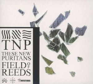 These New Puritans: Fields of Reeds (Infectious)