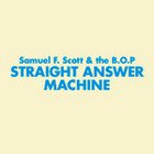 BEST OF ELSEWHERE 2008: Samuel Flynn Scott and Bunnies on Ponies: Straight Answer Machine (Loop)