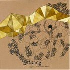 Tunng: Comments of the Inner Chorus (EMI)