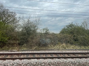 TRAVELS IN THE TIME OF COVID #11 (2022): Sights passed at speed 
