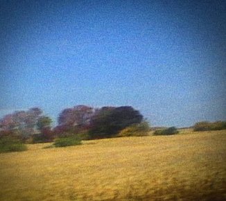 Sun Kil Moon: Benji (Spunk)