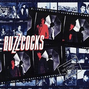 THE BUZZCOCKS (2013): A Different Kind of Punk