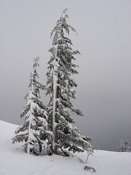 Mt Shasta, California: Feeling the space