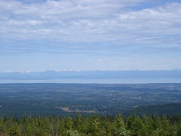 Coastal Trek Lodge, Vancouver Island, Canada: Where the wild things are