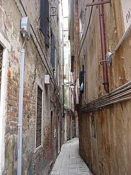 ET.AL AT THE 2005 VENICE BIENNALE: Reporting on the site office